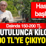 haber-gorseli-1786463431851