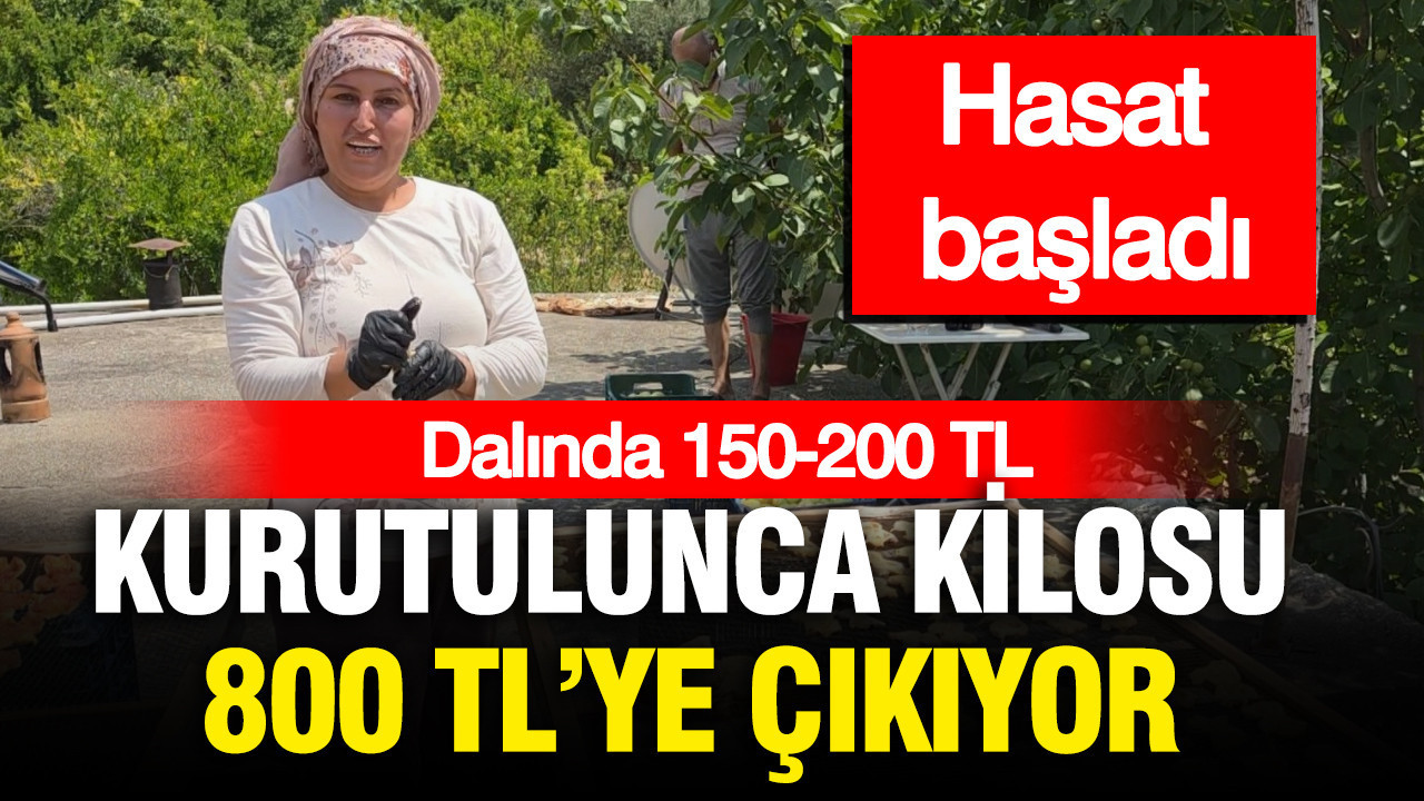 haber-gorseli-1786463431851