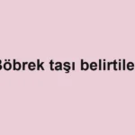 bobrek-tasi-belirtileri