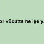 fosfor-vucutta-ne-ise-yarar