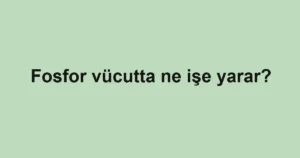 fosfor-vucutta-ne-ise-yarar